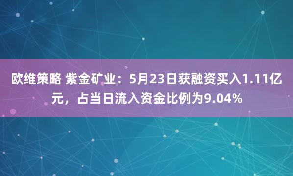 欧维策略 紫金矿业：5月23日获融资买入1.11亿元，占当日流入资金比例为9.04%