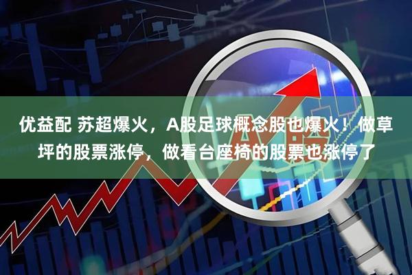 优益配 苏超爆火，A股足球概念股也爆火！做草坪的股票涨停，做看台座椅的股票也涨停了