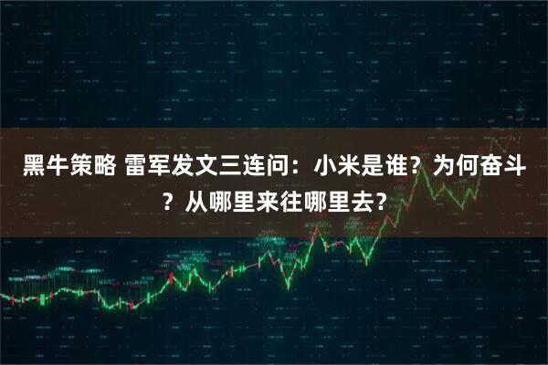 黑牛策略 雷军发文三连问：小米是谁？为何奋斗？从哪里来往哪里去？