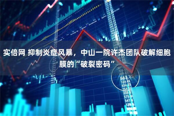 实倍网 抑制炎症风暴，中山一院许杰团队破解细胞膜的“破裂密码”