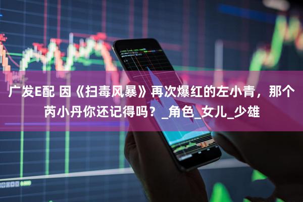 广发E配 因《扫毒风暴》再次爆红的左小青，那个芮小丹你还记得吗？_角色_女儿_少雄