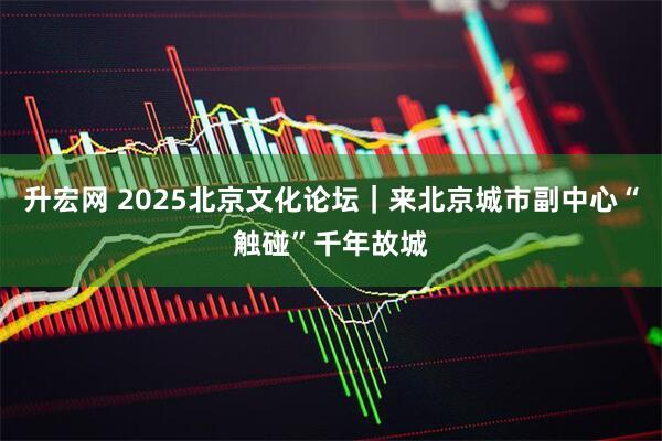 升宏网 2025北京文化论坛｜来北京城市副中心“触碰”千年故城