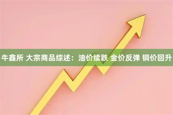 牛鑫所 大宗商品综述：油价续跌 金价反弹 铜价回升